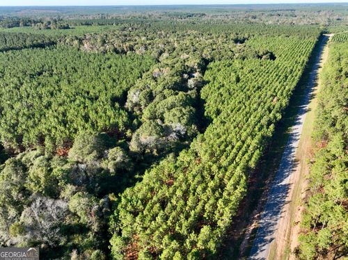 0 Barentine Rd, Rochelle, GA, 31079 | Card Image