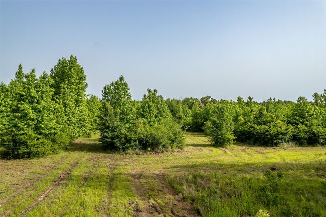 0 Johnson Rd, Home with 0 bedrooms, 0 bathrooms and null parking in Winona TX | Image 5