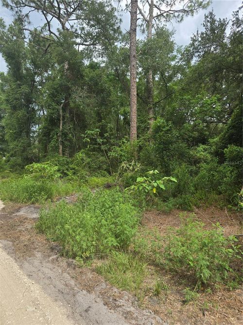 1650 Se 178th Ln, Summerfield, FL, 34491-6746 | Card Image