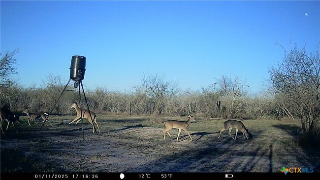 000 Pierce Rd, Home with 0 bedrooms, 0 bathrooms and null parking in Goliad TX | Image 10