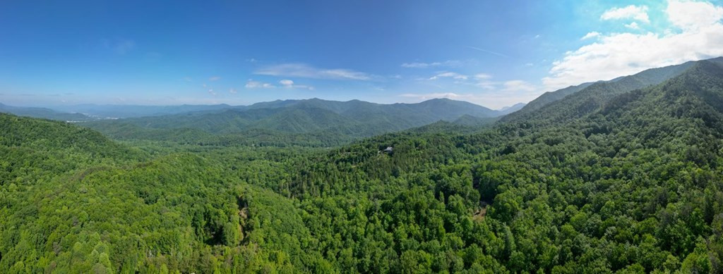 Land in Andrews