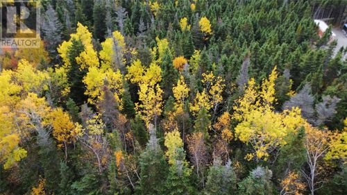 000 Fifth Road, South Brook, NL, A0J1S0 | Card Image