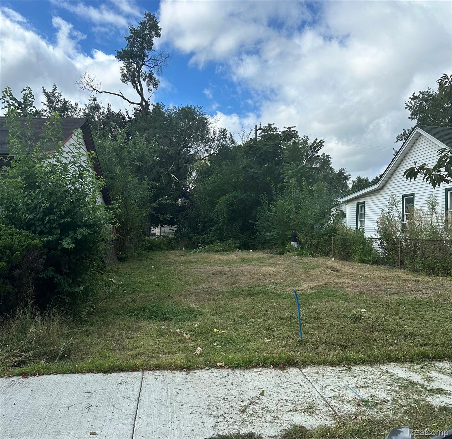 Land in Lincoln Park 2