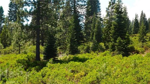 0 Echo Way, McCloud, CA, 96057 | Card Image