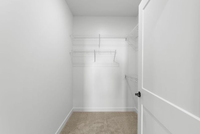 27-web-or-mls-800A2818.jpg | Image 27