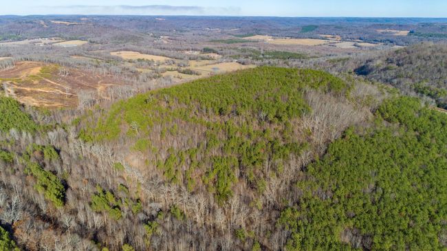 0 Rock Creek Rd, Home with 0 bedrooms, 0 bathrooms and null parking in Eva AL | Image 15