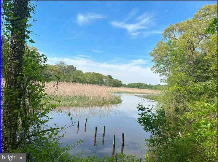 Hickory Ln, Chestertown, MD 21620
