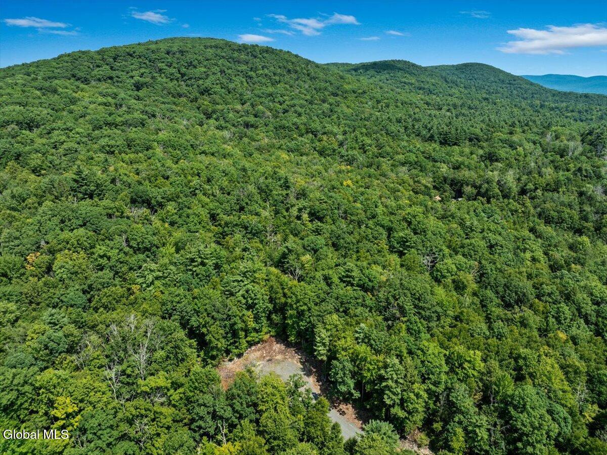 Land in Stephentown 5