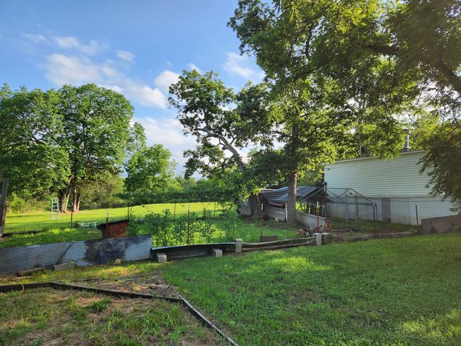 exterior dog kennel | Image 38