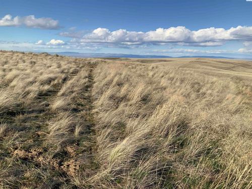 15283 Glade Rd, Mabton, WA, 98935 | Card Image