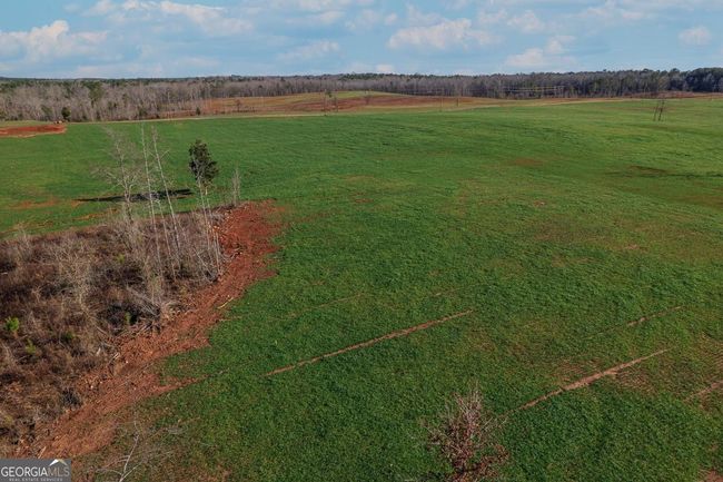 LOT-11 - 0 Jordan Bottoms Road, Home with 0 bedrooms, 0 bathrooms and null parking in Culloden GA | Image 9