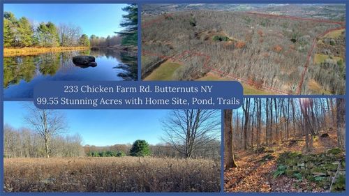 233 Chicken Farm Road, Butternuts, NY, 13776 | Card Image