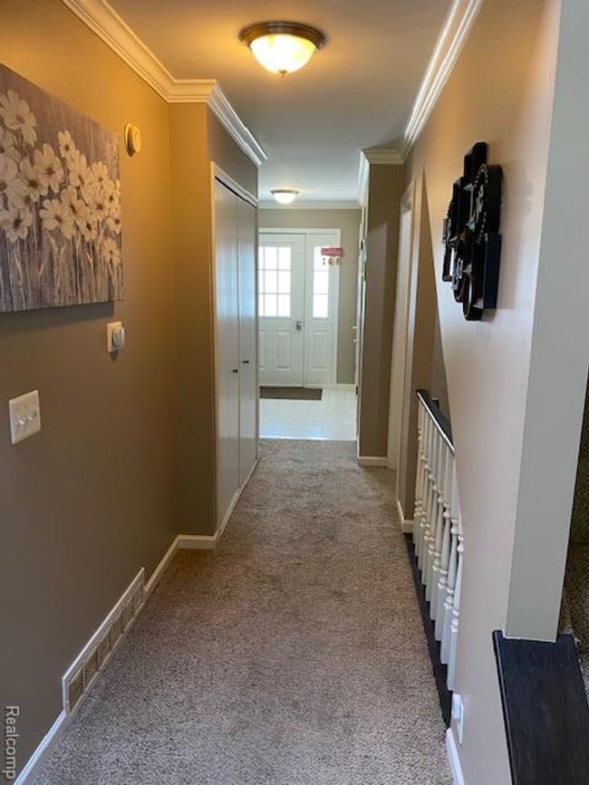 IMG_3774.jpg | Image 27