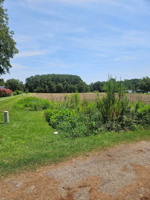 0 Wolfman Lane, Saint Stephen, SC, 29479 | Card Image