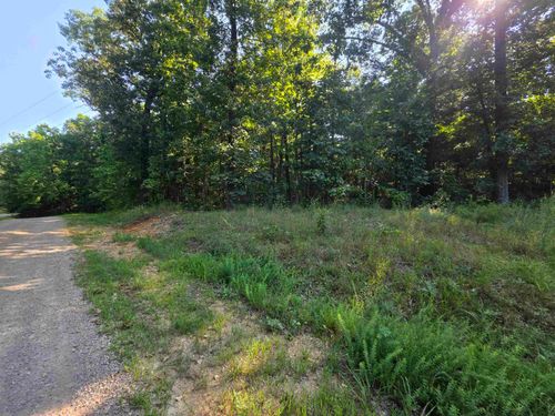L1B7 E Lakeshore Dr, Williford, AR, 72482 | Card Image