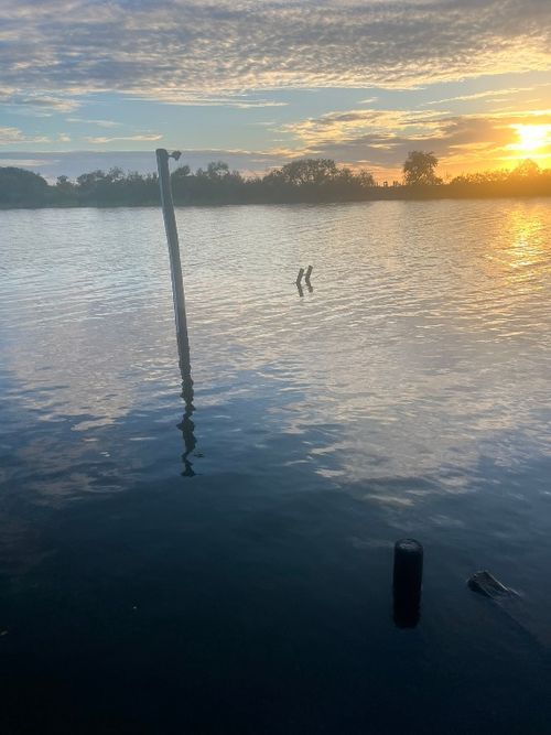 1836 County Road 206, Bay City, TX, 77414-2250 | Card Image