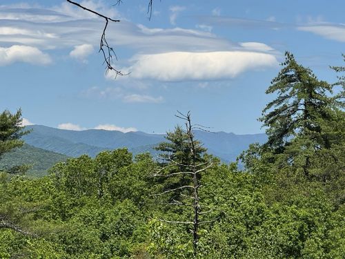 79 Forest Edge Dr, Murphy, NC, 28906-5748 | Card Image