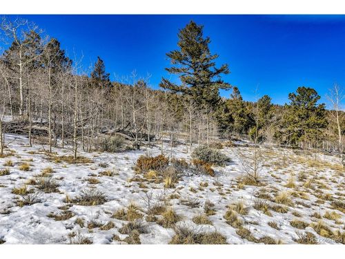 2996 Redhill Rd, FAIRPLAY, CO, 80440-4003 | Card Image