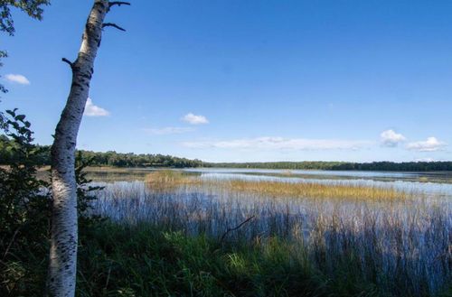 TBD Deacons Way, Pequot Lakes, MN, 56472 | Card Image