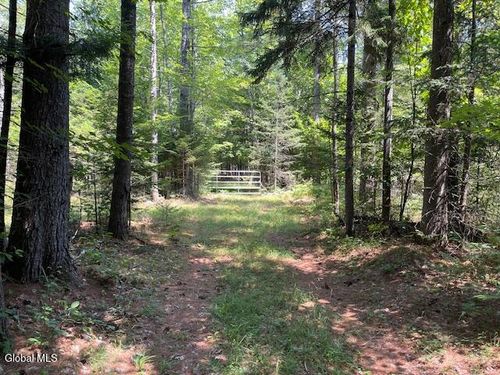 153 Sand Bank Rd, Minerva, NY, 12851 | Card Image