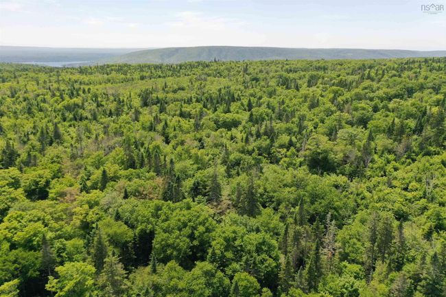 1138 Whycocomagh Mountain Rd, Home with 0 bedrooms, 0 bathrooms and null parking in Whycocomagh NS | Image 16