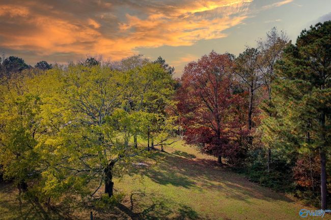 158 Bean Dr, Home with 0 bedrooms, 0 bathrooms and null parking in Union Grove AL | Image 9