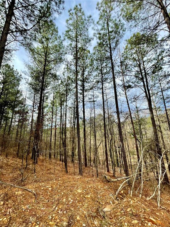 Land in Broken Bow 3