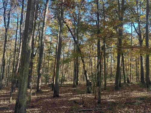 TBD Dirt Dobber, Bauxite, AR, 72011 | Card Image