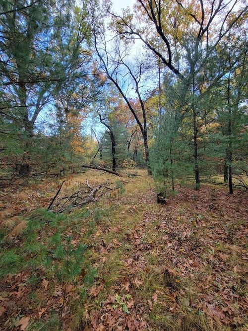 L55 19th Crk, Arkdale, WI, 54613 | Card Image