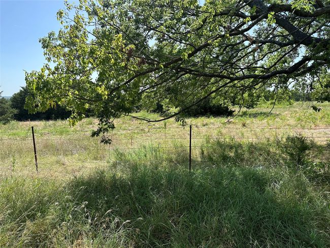 View of local wilderness | Image 8