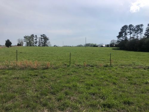 0 Russell Gray Store Rd, Stantonville, TN, 38379 | Card Image