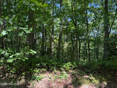 Lot 3 Amber Lane, Topton, NC, 28781 | Card Image