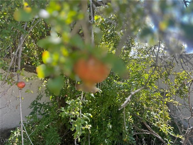 3927 Deer Haven Ct, House other with 3 bedrooms, 2 bathrooms and null parking in Las Vegas NV | Image 30