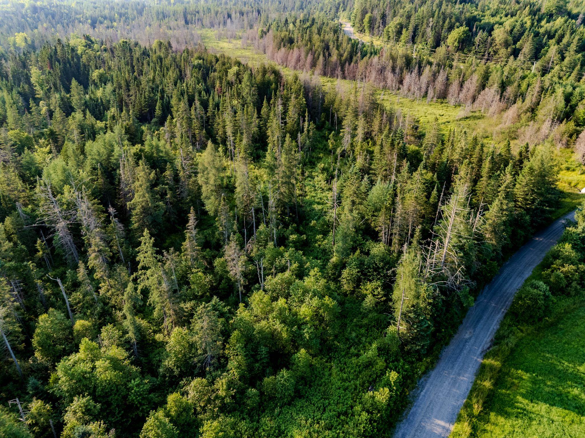 Land in Walden 4