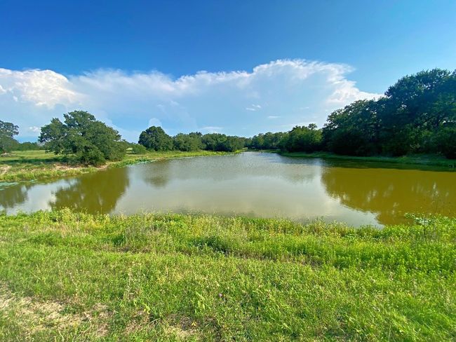 Water view featuring a heavily wooded area | Image 32