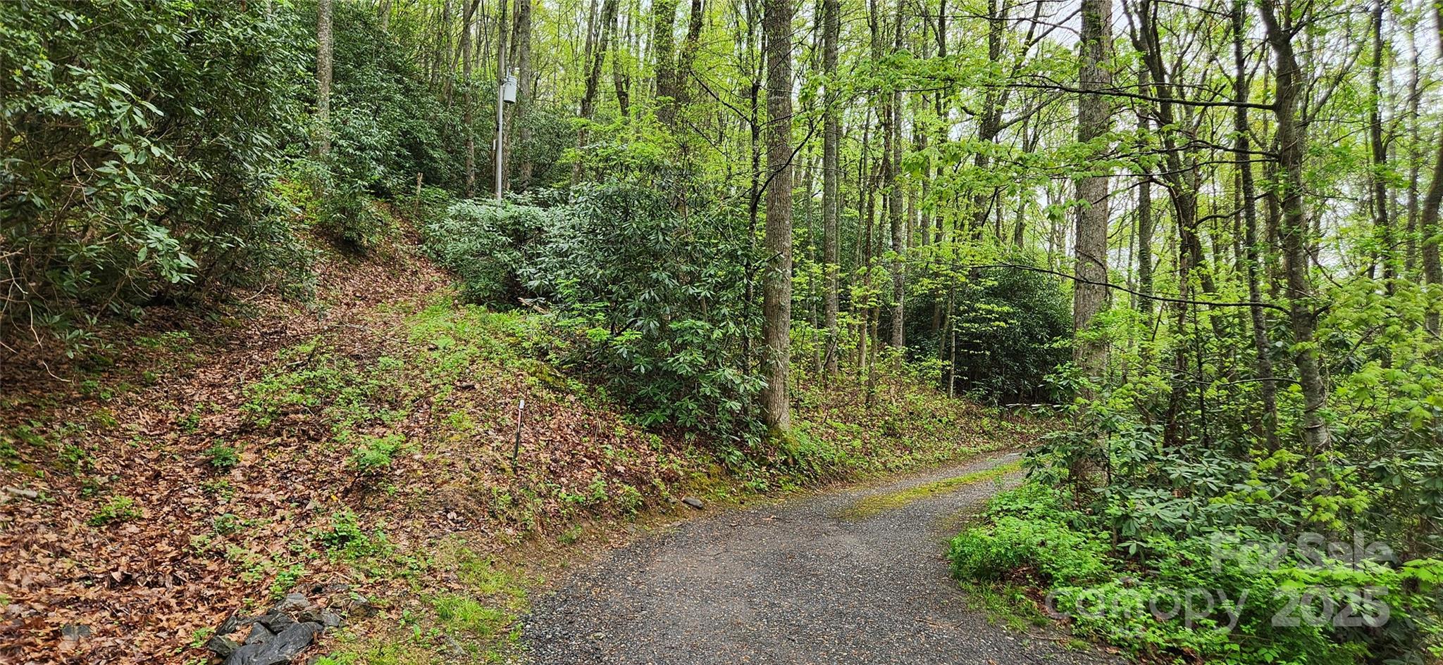 Land in Asheville 2