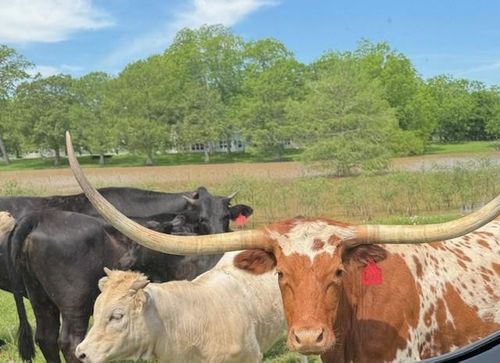 6319 Simonton Rd, Brookshire, TX, 77423 | Card Image