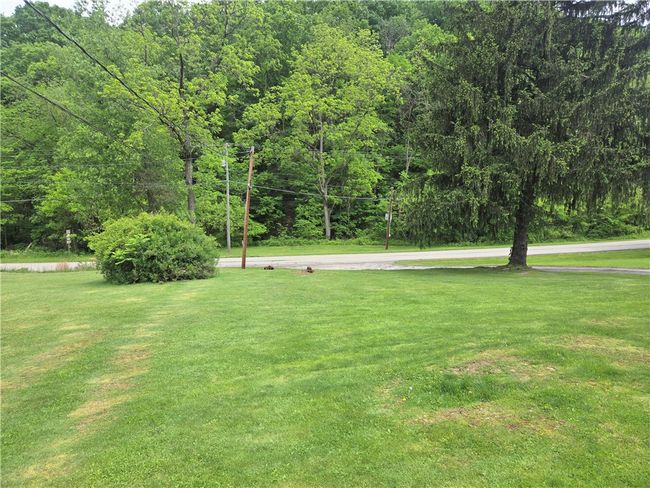 Front yard | Image 38