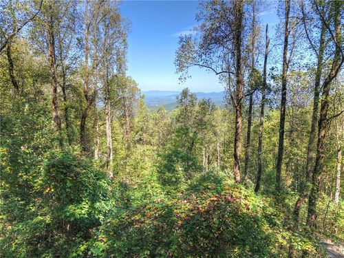 LT 296 Andes Rdg, Ellijay, GA, 30536 | Card Image