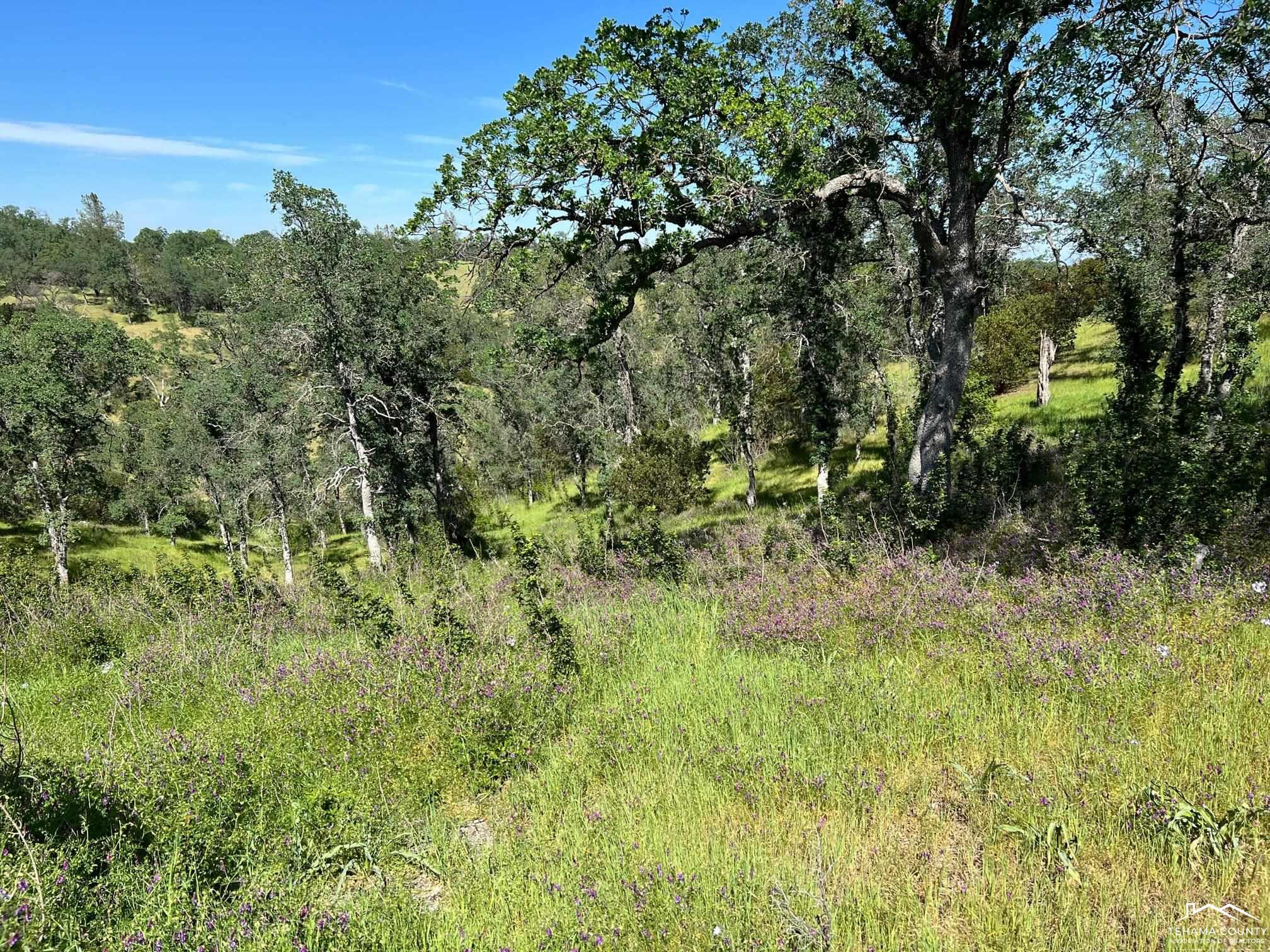 Land in Corning 4