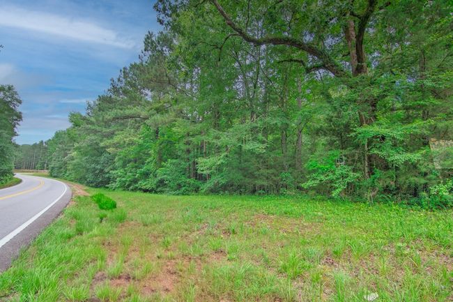 0 Us Highway 29, Home with 0 bedrooms, 0 bathrooms and null parking in WEST POINT GA | Image 7