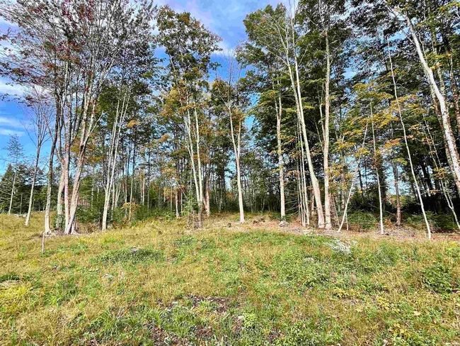 2209 Underpass Rd, Home with 0 bedrooms, 0 bathrooms and null parking in Sutton VT | Image 6