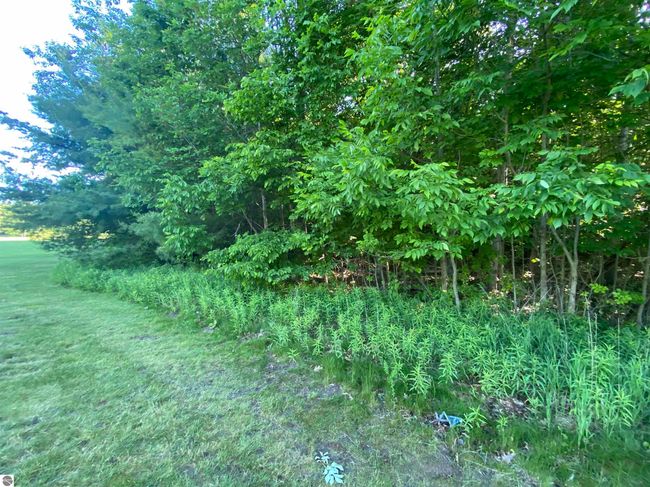 Lot 10 S Club Dr, Home with 0 bedrooms, 0 bathrooms and null parking in Cedar MI | Image 12