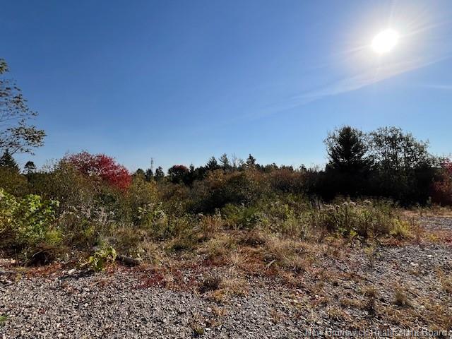 Land in Saint John 3
