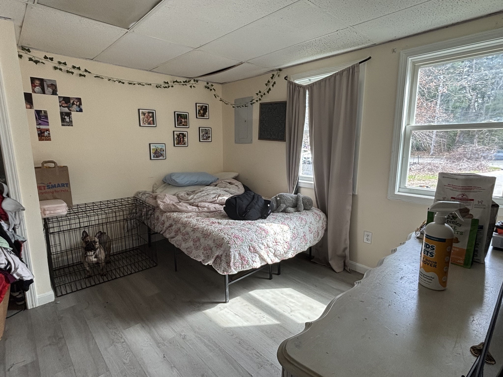 Residential in Wareham 5