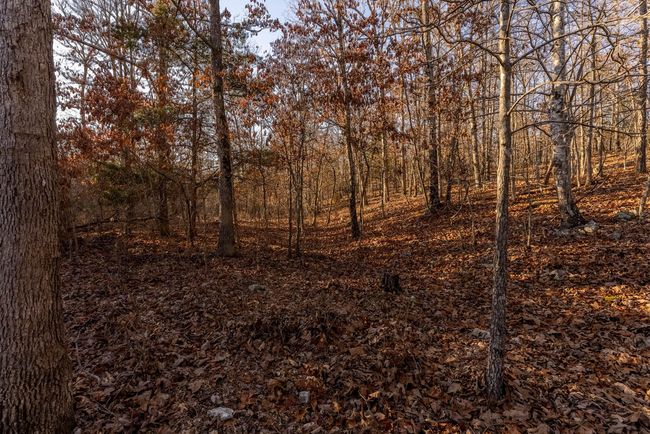 23 Acres010 | Image 12