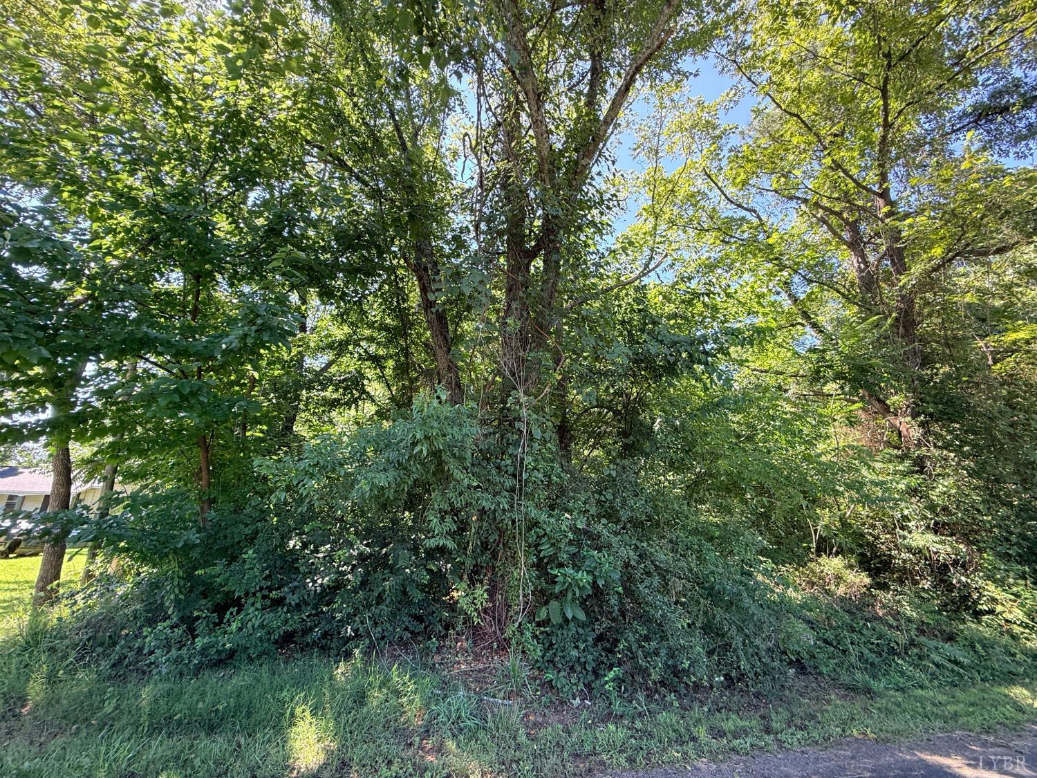 Land in Chatham 5