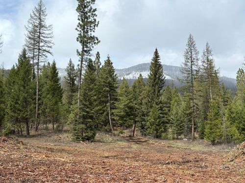 lot-37-301 Haskill Ranch Rd, Kila, MT, 59920 | Card Image