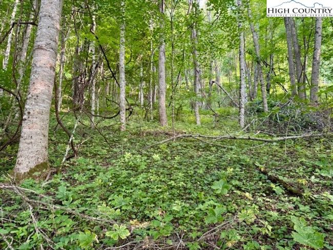 1 Oak Trail, Home with 0 bedrooms, 0 bathrooms and null parking in Creston NC | Image 11