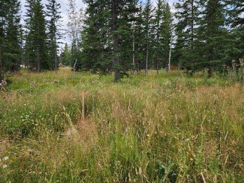 TBD Smokey Stoke Ct, Lead, SD, 57754 | Card Image